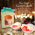 芙玉寶-貝殼香氛蠟燭