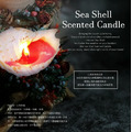 芙玉寶-貝殼香氛蠟燭_1