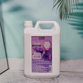 芙玉寶-夢蝶紫羅蘭香水洗衣皂精4公升│10公升