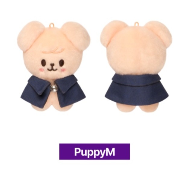 STRAYKIDS SKZ'S MAGIC SCHOOL PLUSH 10CM Ver. [PUPPYM]