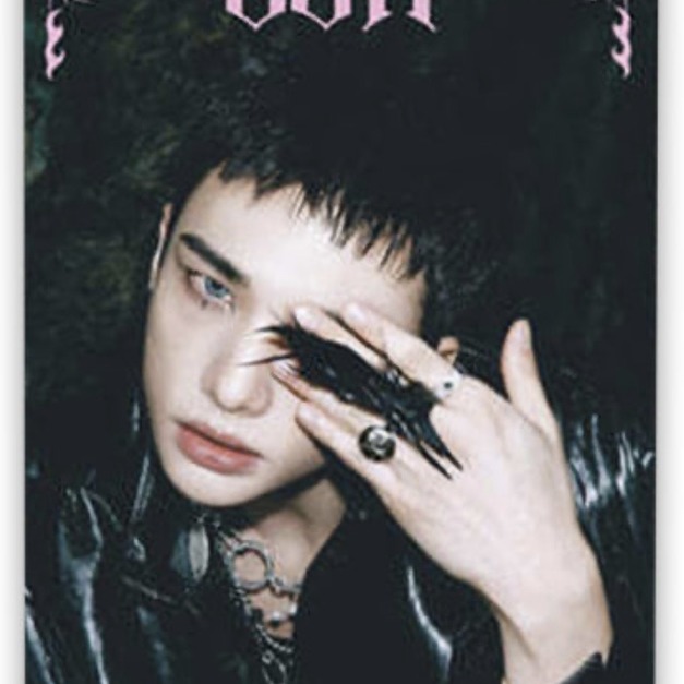 Stray kids do it(hyun jin)