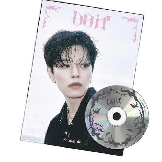 Stray kids do it(han)