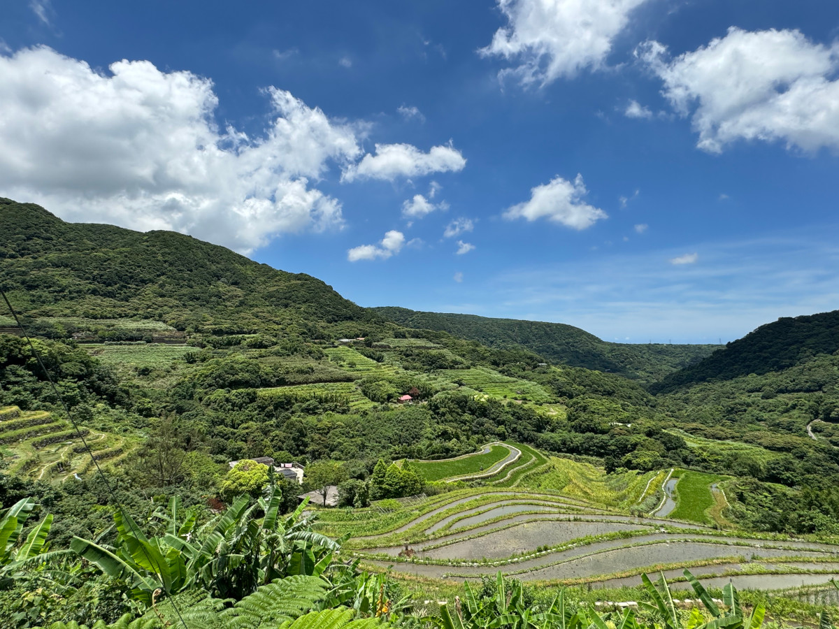 石門百年梯田的照片，山谷中美麗的梯田