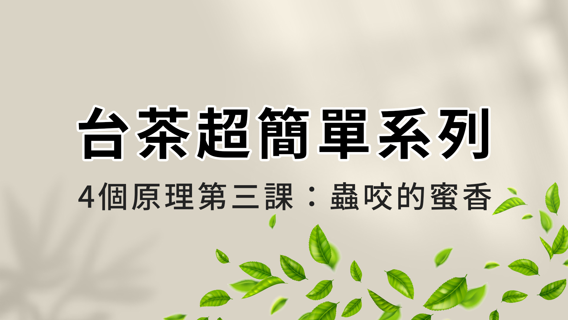 認識台茶超簡單 │ 四個原理第三課 │ 蟲咬的蜜香