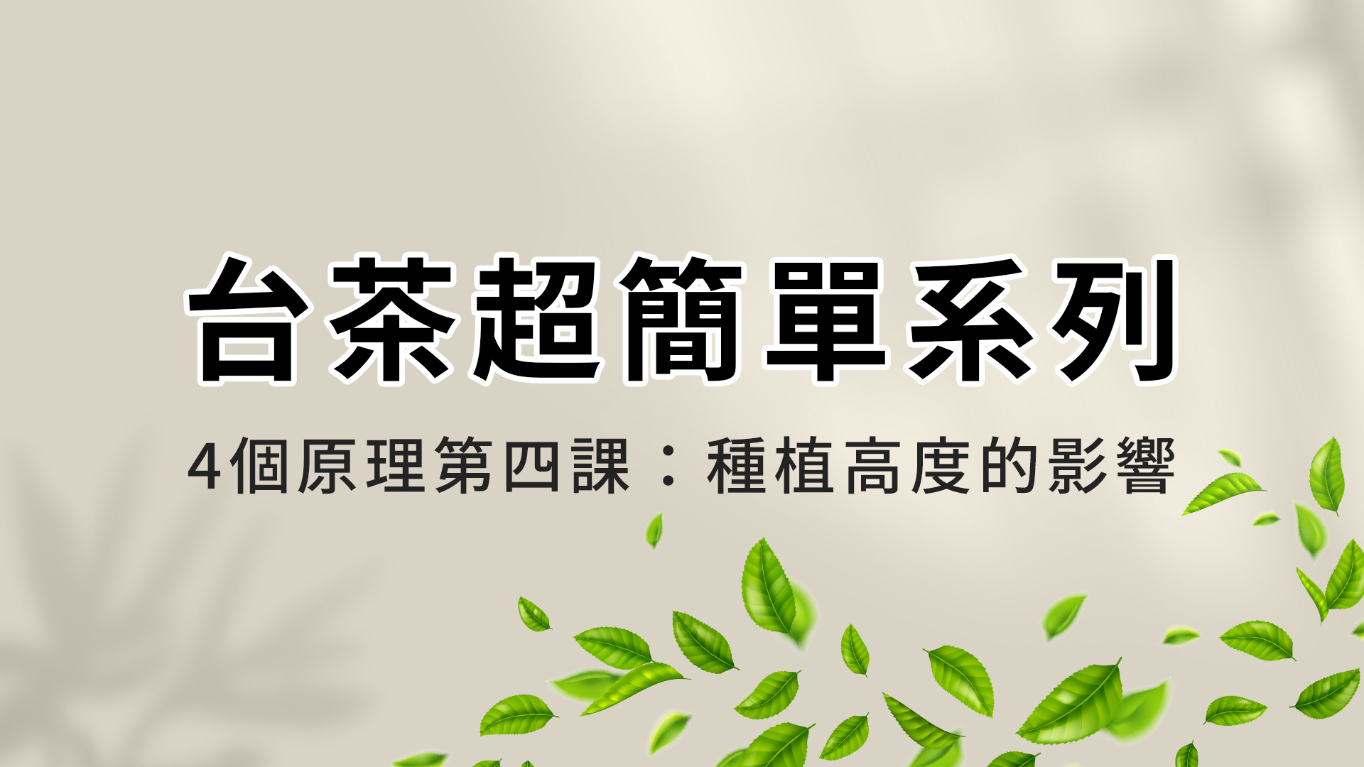 認識台茶超簡單 │ 四個原理第四課 │ 茶葉種植高度的影響