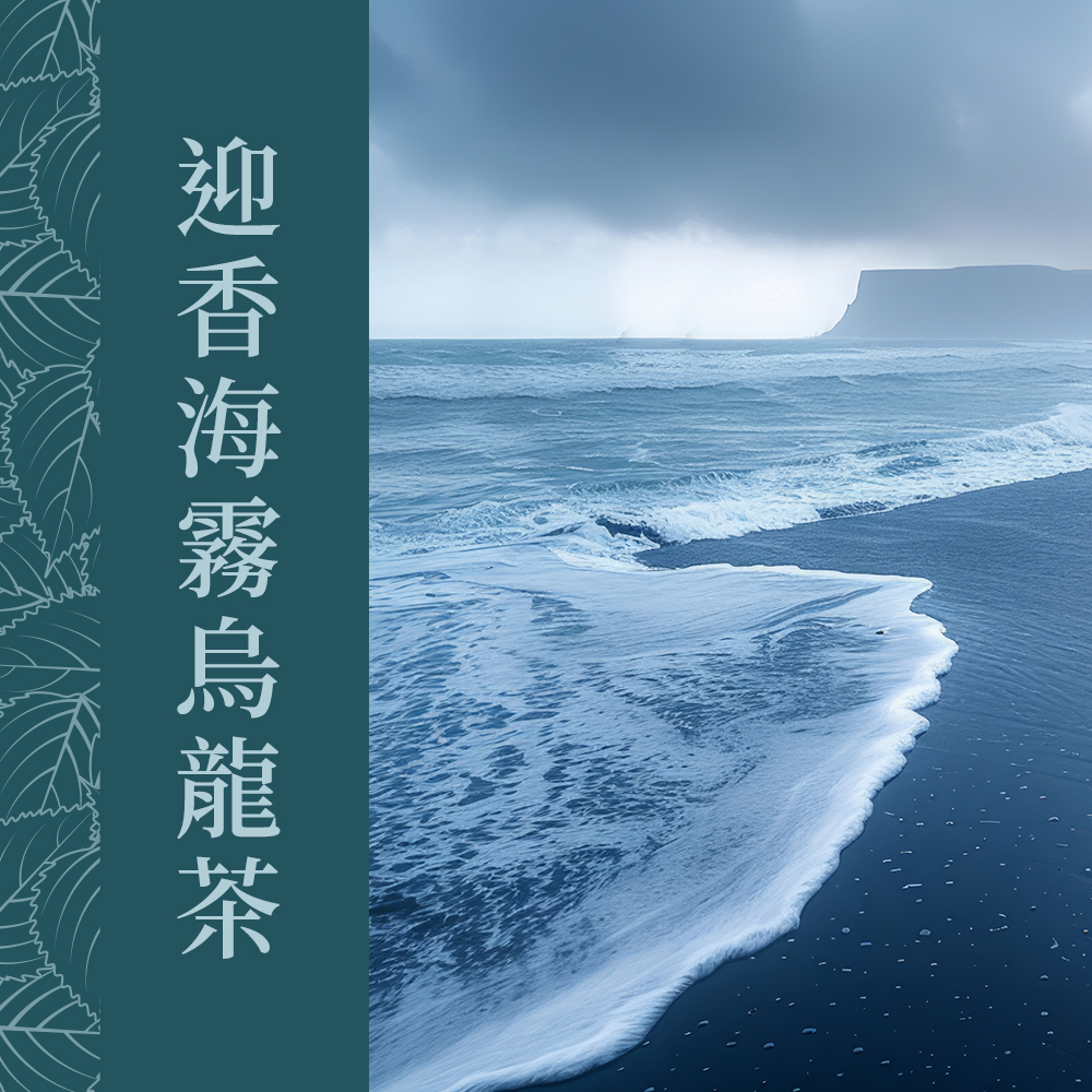 迎香海霧烏龍茶