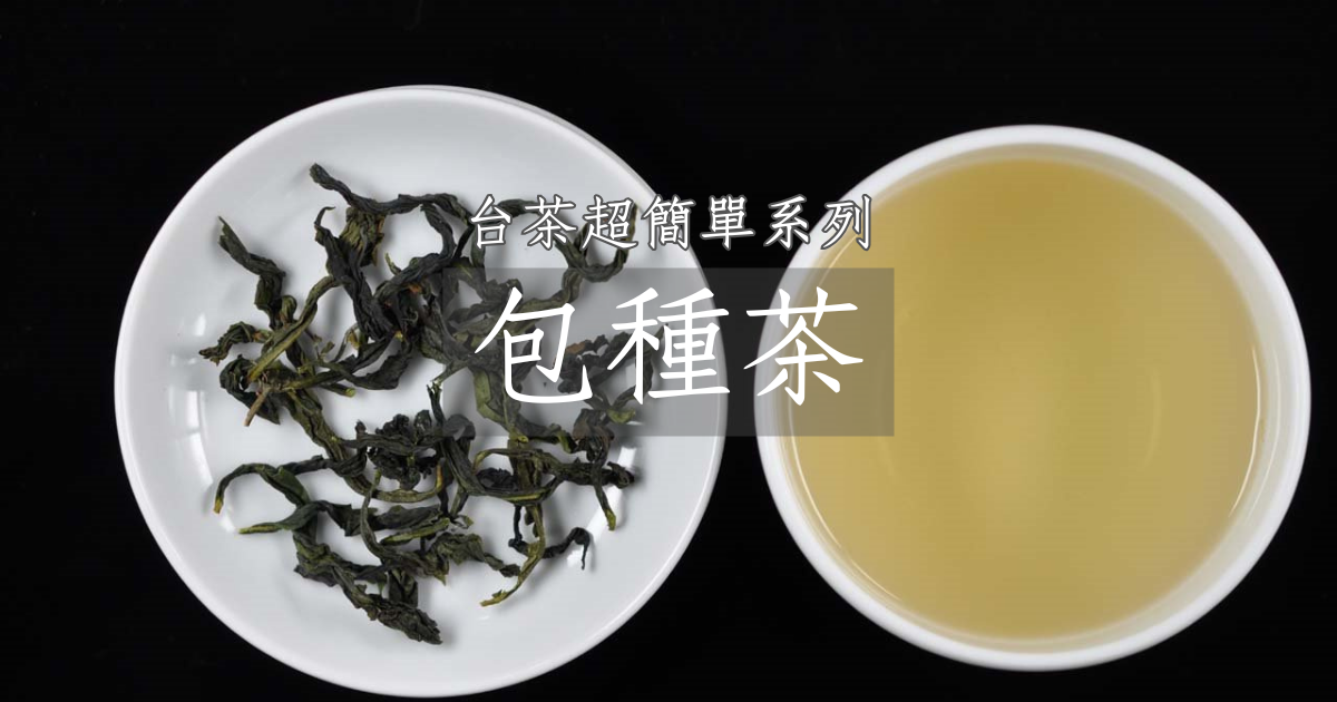 認識包種茶超簡單，動畫秒懂台灣茶