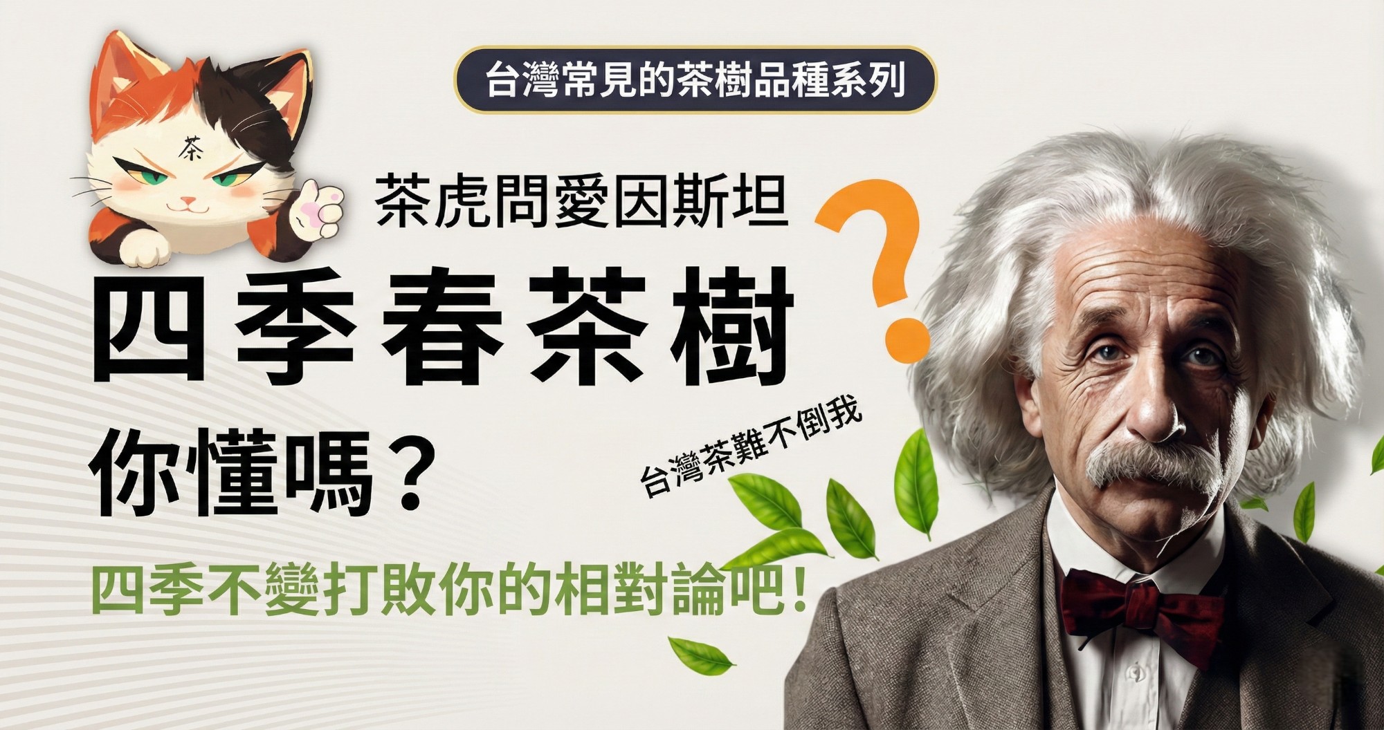 認識「四季春」茶樹超簡單，動畫秒懂台灣常見的茶樹