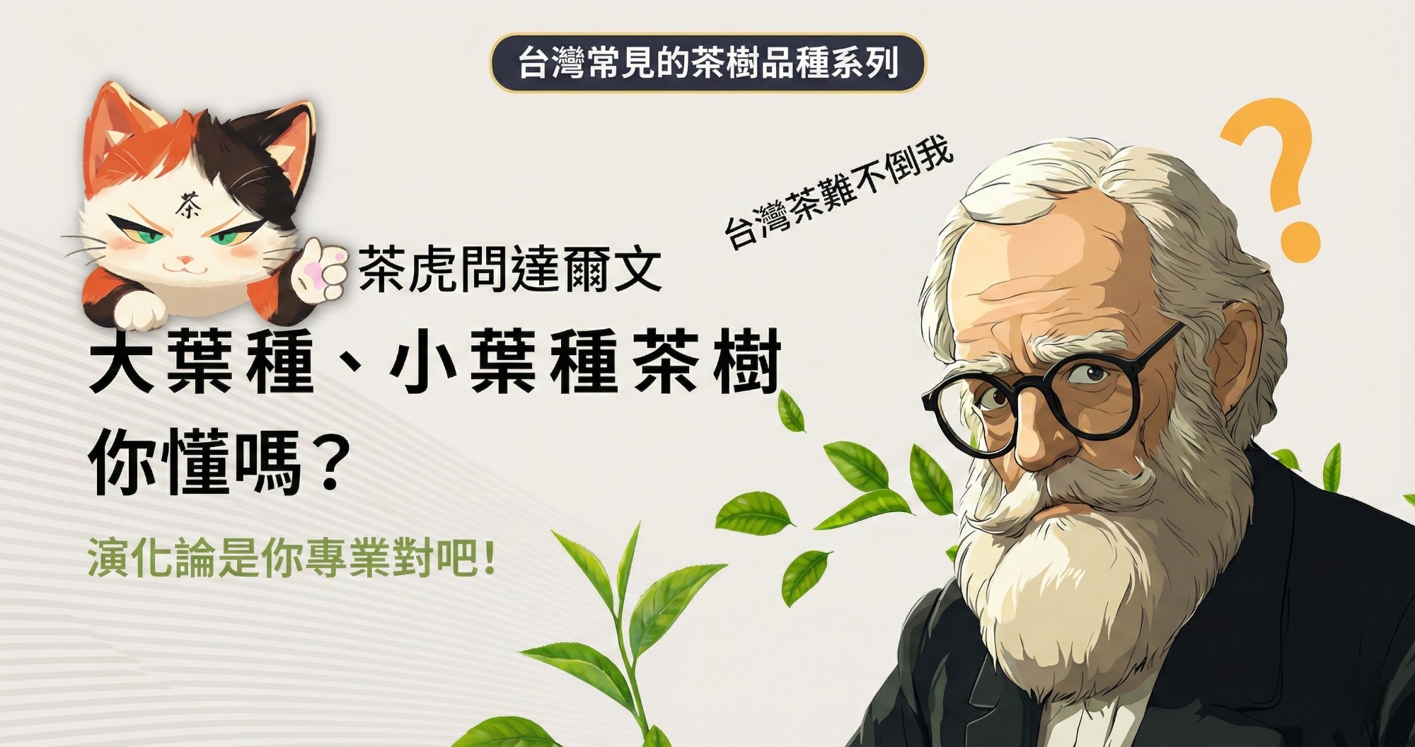 認識「大葉種與小葉種」茶樹超簡單，動畫秒懂台灣常見的茶樹