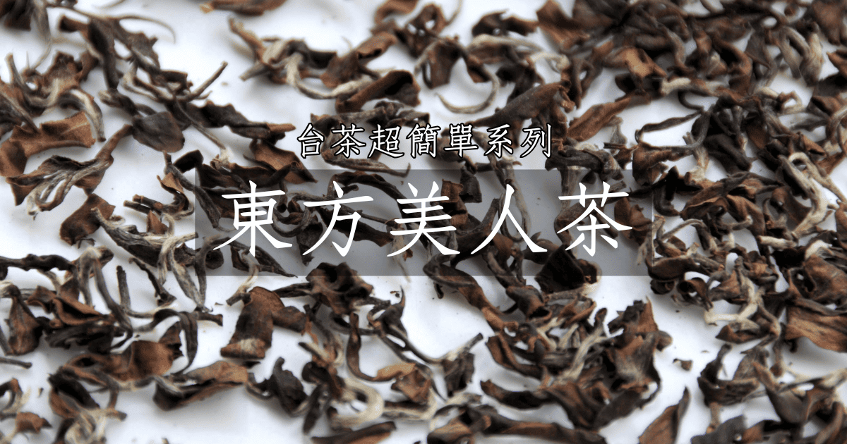 認識東方美人茶超簡單，動畫秒懂台灣茶