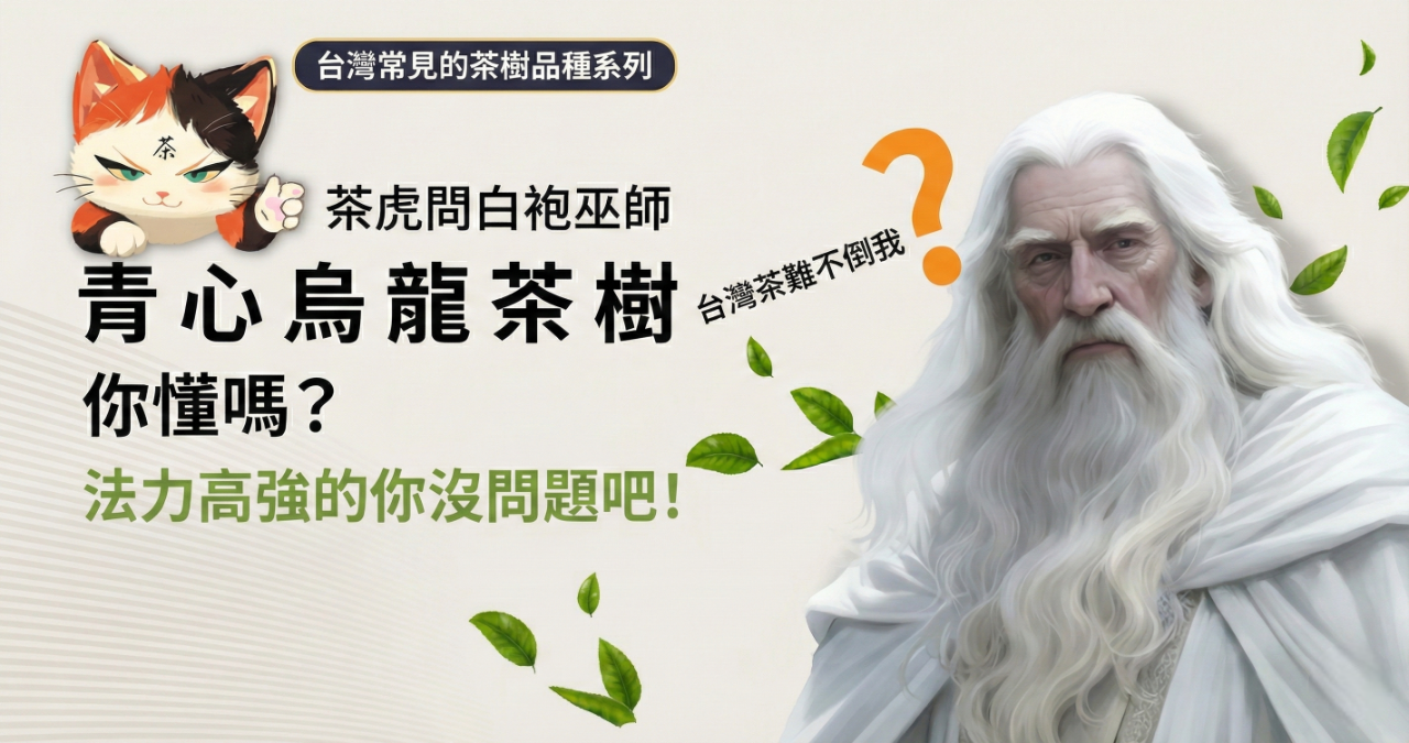 認識「青心烏龍」茶樹超簡單，動畫秒懂台灣常見的茶樹