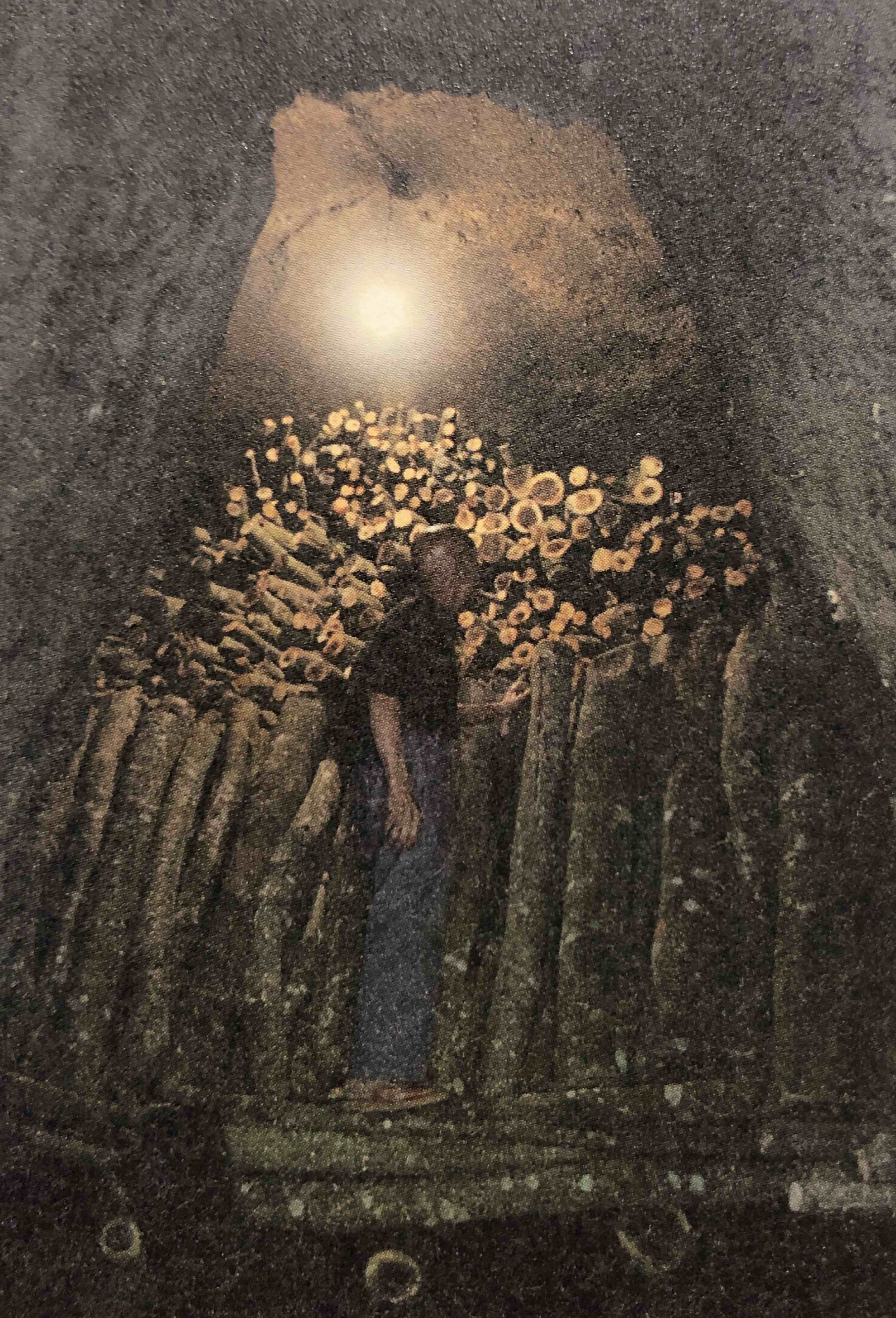 相思木炭與炭窯