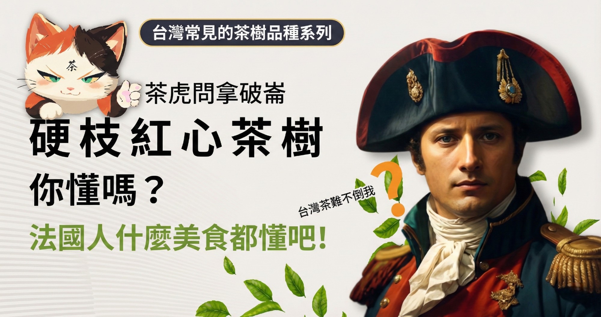 認識「硬枝紅心」茶樹超簡單，動畫秒懂台灣常見的茶樹