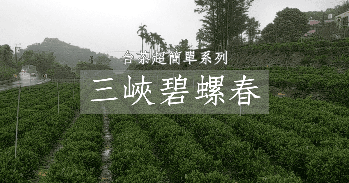 認識三峽碧螺春超簡單，動畫秒懂台灣茶