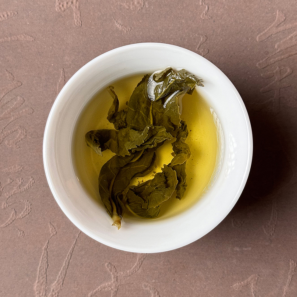認識清香型烏龍茶超簡單，動畫秒懂台灣茶