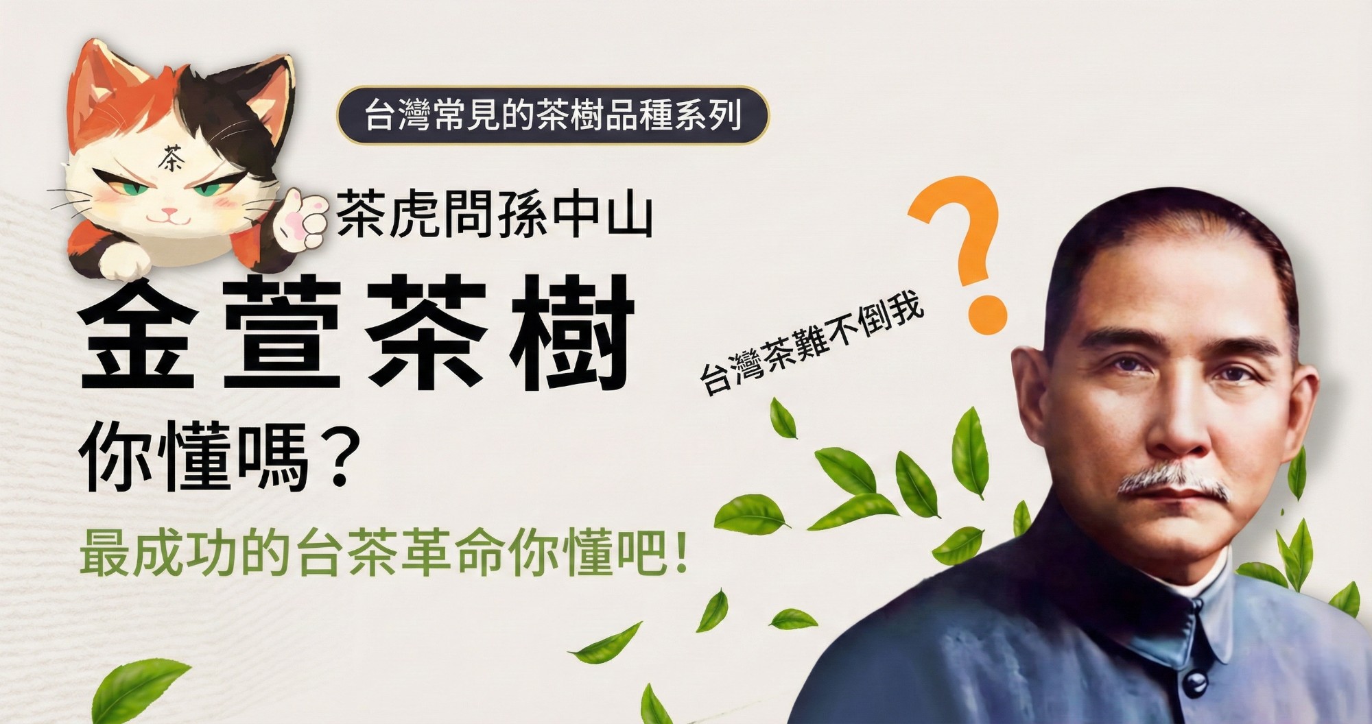 認識「金萱」茶樹超簡單，動畫秒懂台灣常見的茶樹