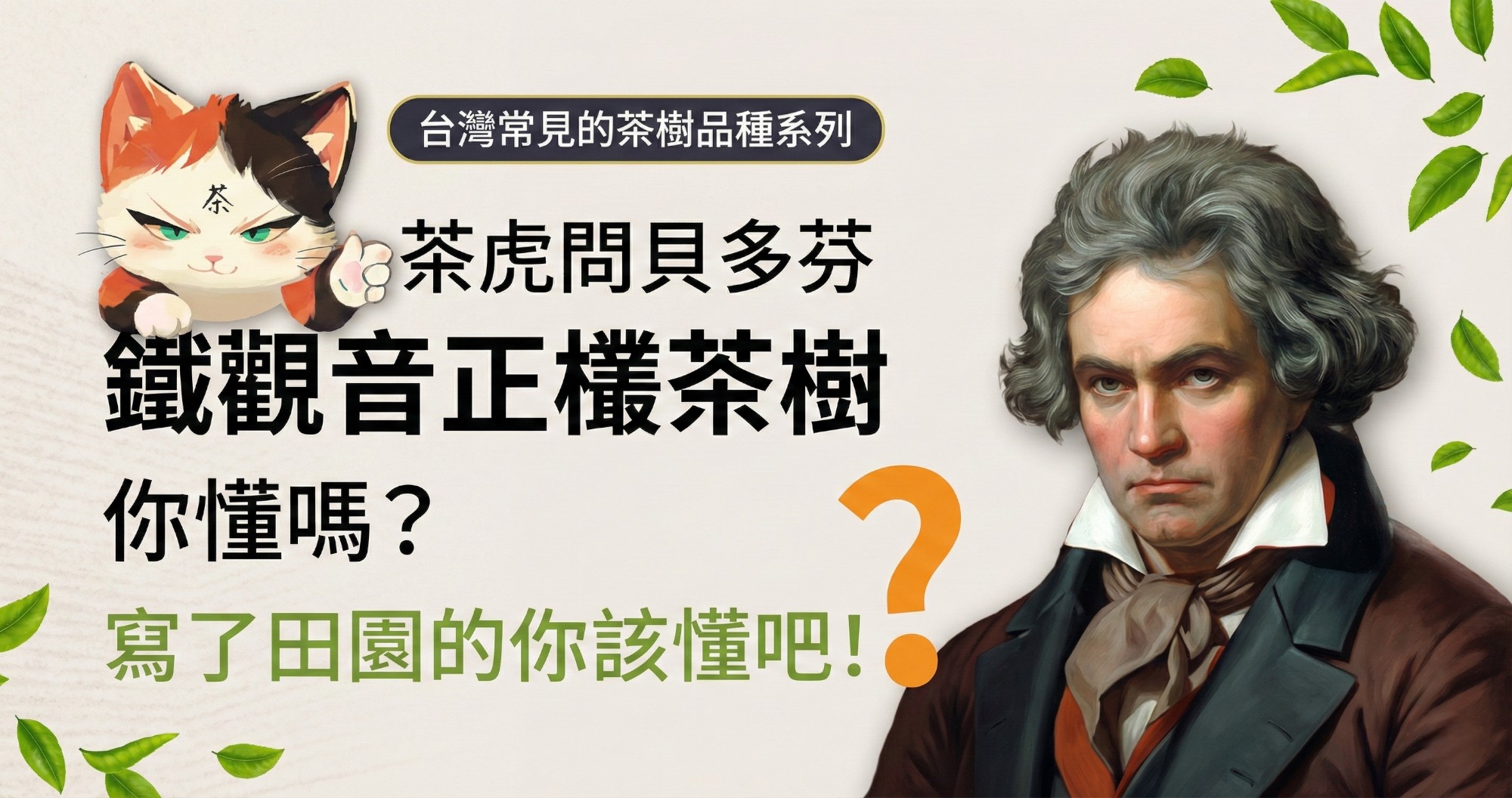 認識「鐵觀音正欉」茶樹超簡單，動畫秒懂台灣常見的茶樹