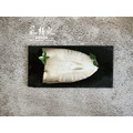 虱想起-軍艦級3L虱目魚肚300G_1