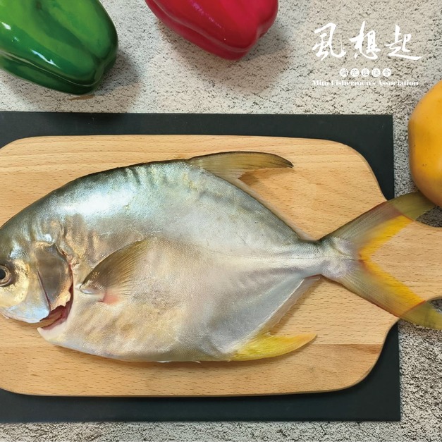 黃金鯧600G