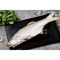 午仔魚(200G)