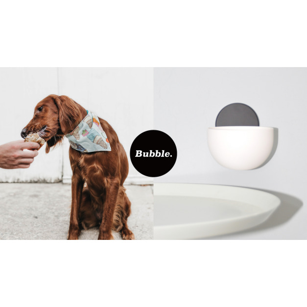 Bubble友善寵物碗 