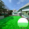 翠綠短草/8mm_1