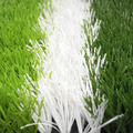 【訂製款】FIFA qulaity pro專業足球草_1