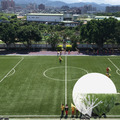 【訂製款】FIFA qulaity pro專業足球草_1
