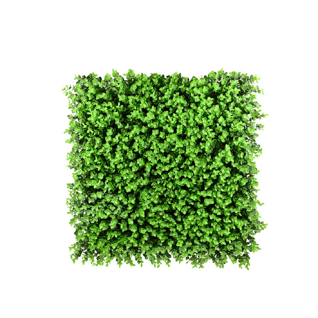 小尤加利葉/50*50(cm)