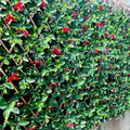 【訂製商品】紅花梔子草籬笆
