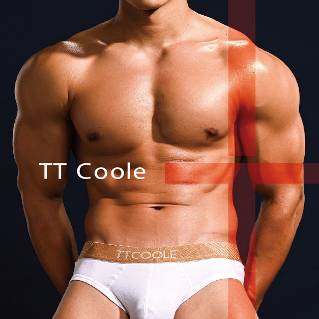 TTCoole 質感內著-時尚金