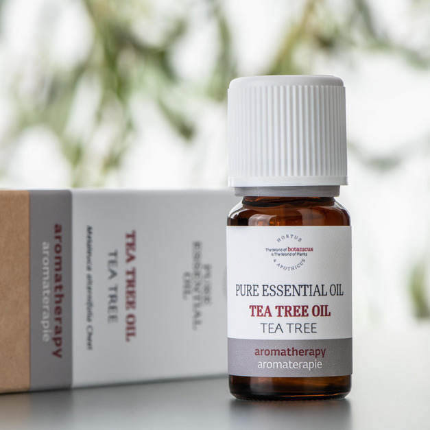 茶樹精油 10ml