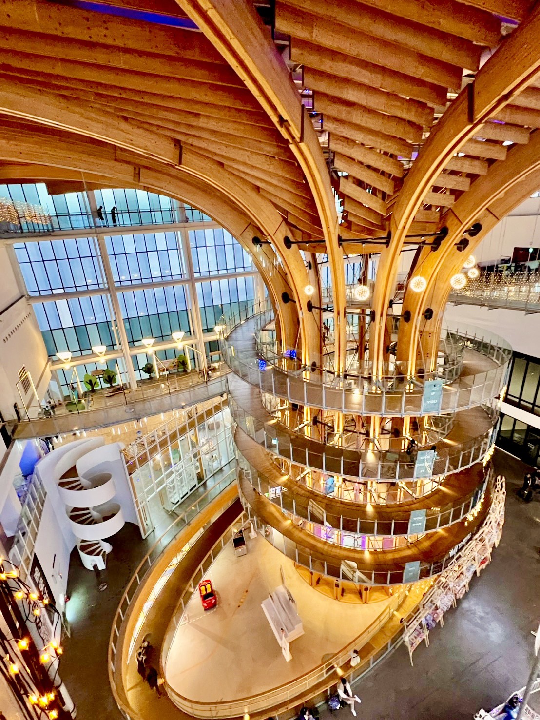 【南投親子景點隱藏版攻略】看生命樹不用買門票？教你靠這招現省 $560，還能帶孩子玩 AI 黑科技！