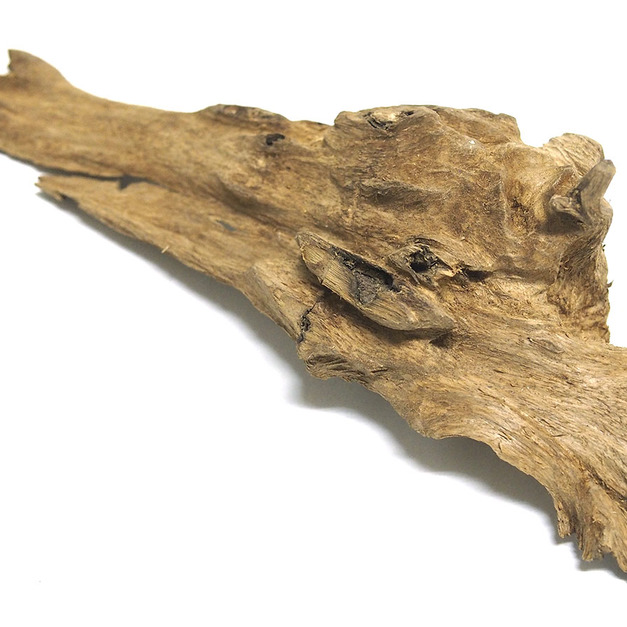 蘇拉威西沉香（編號：A79）