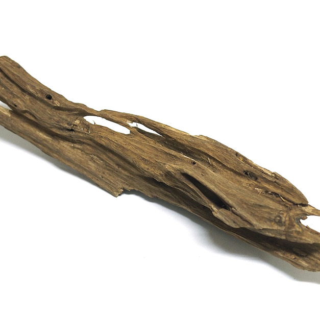 蘇拉威西沉香（編號：A80）