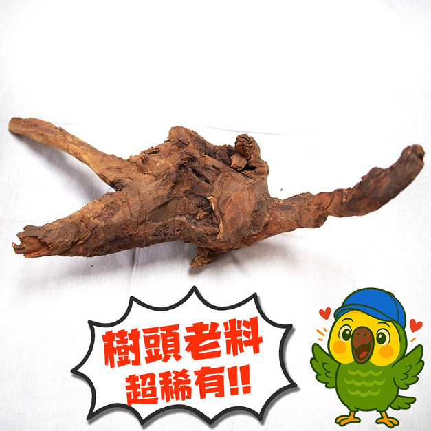 非洲老山檀香樹頭原木，編號Af01