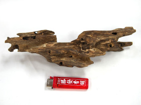 蟲漏糖結棋楠沉香，編號BC03