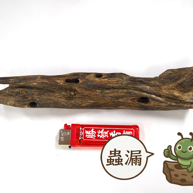 蟲漏糖結綠棋楠沉香，編號BC04