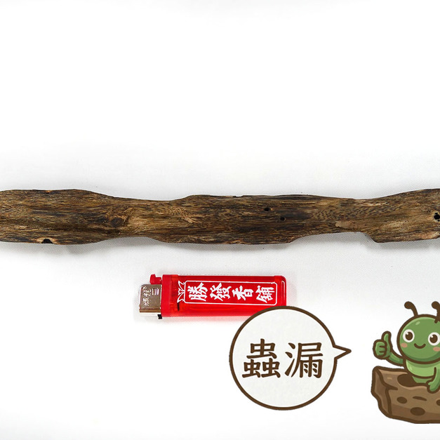 蟲漏糖結綠棋楠沉香，編號BC02