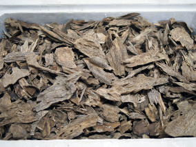 特級金三角沉香，每5克550元，每兩3800元