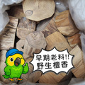北澳新山檀香原木塊