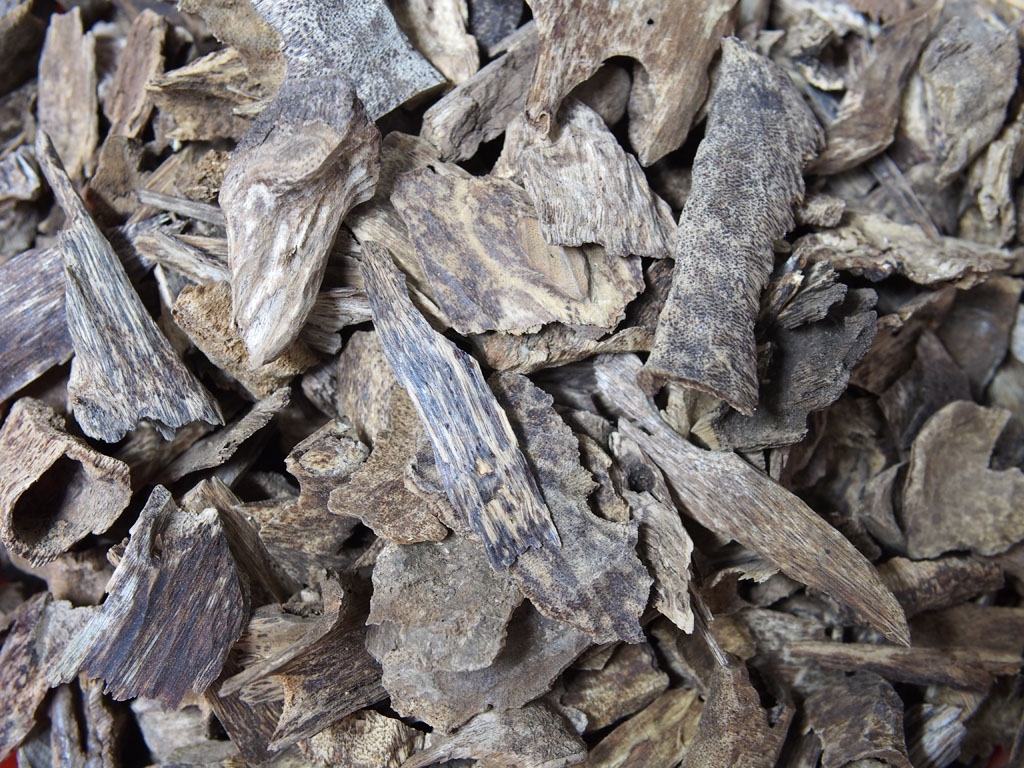 芽莊沉香，每5公克450元，每兩3200元