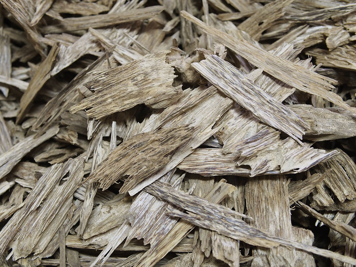 東努沙登加拉沉香，半兩550元，每兩1000元