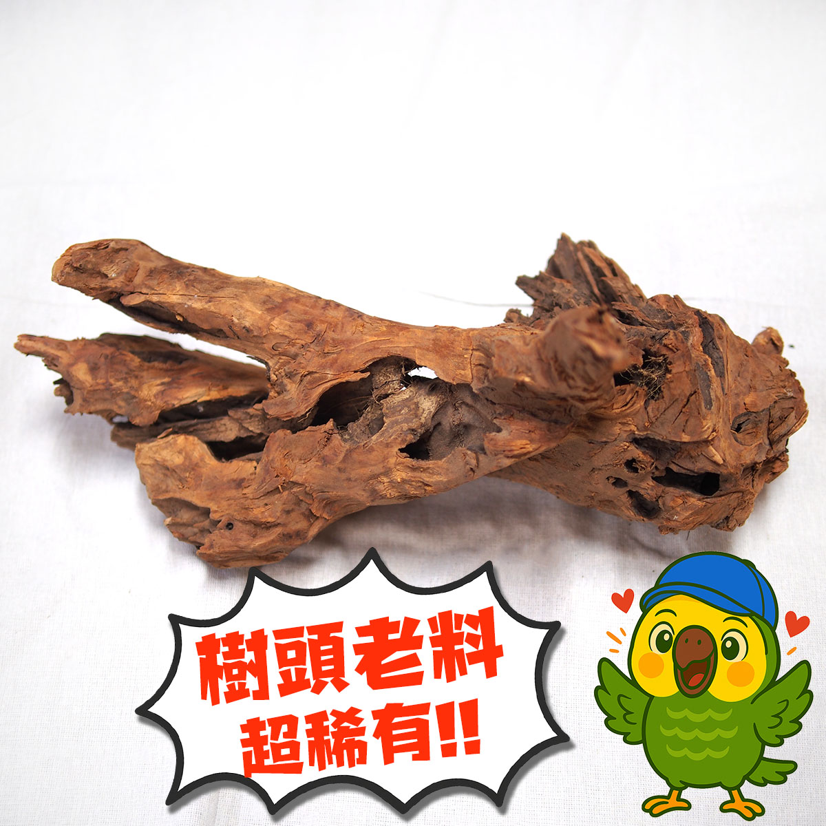 非洲老山檀香樹頭原木，編號Af02