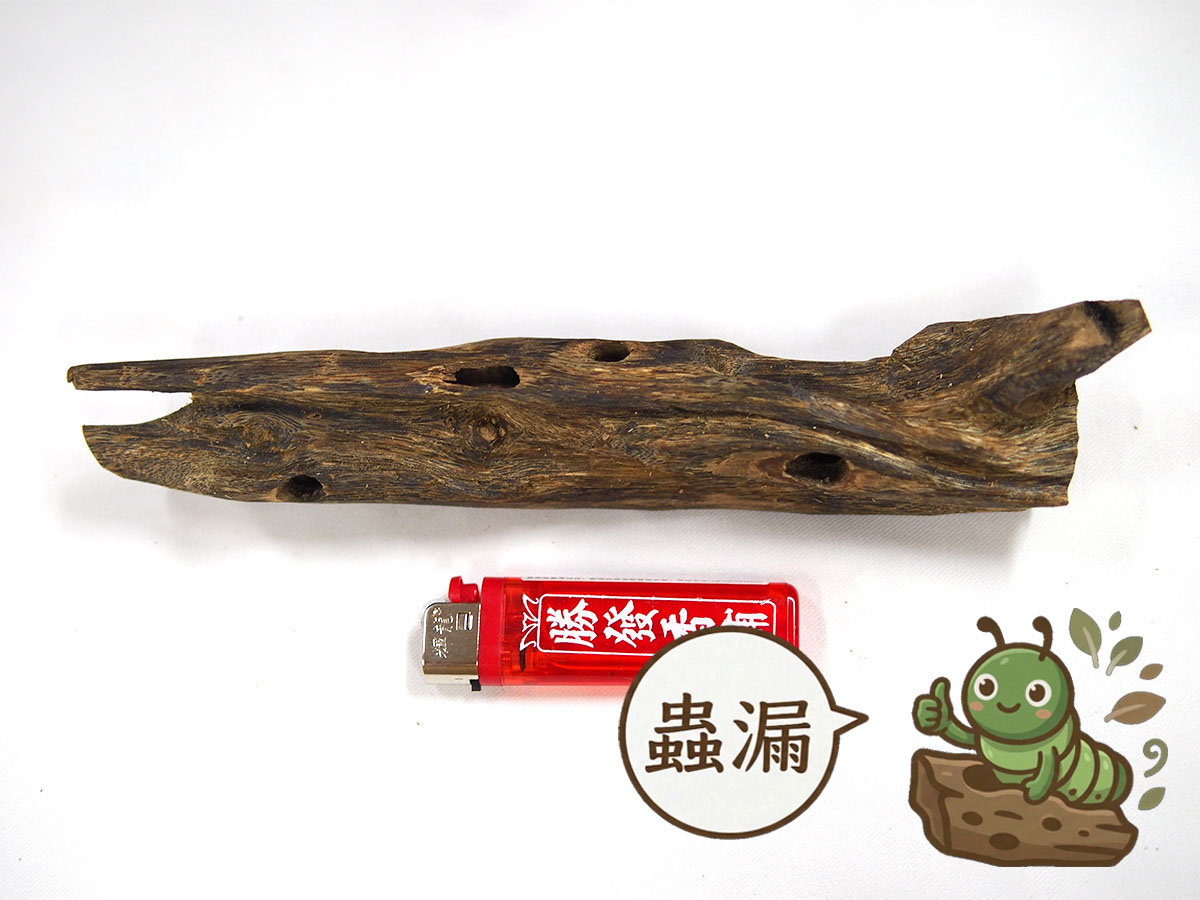 蟲漏糖結綠棋楠沉香，編號BC04