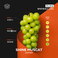 日本・岡山晴王麝香葡萄_1