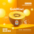 紐西蘭・巨大黃金奇異果