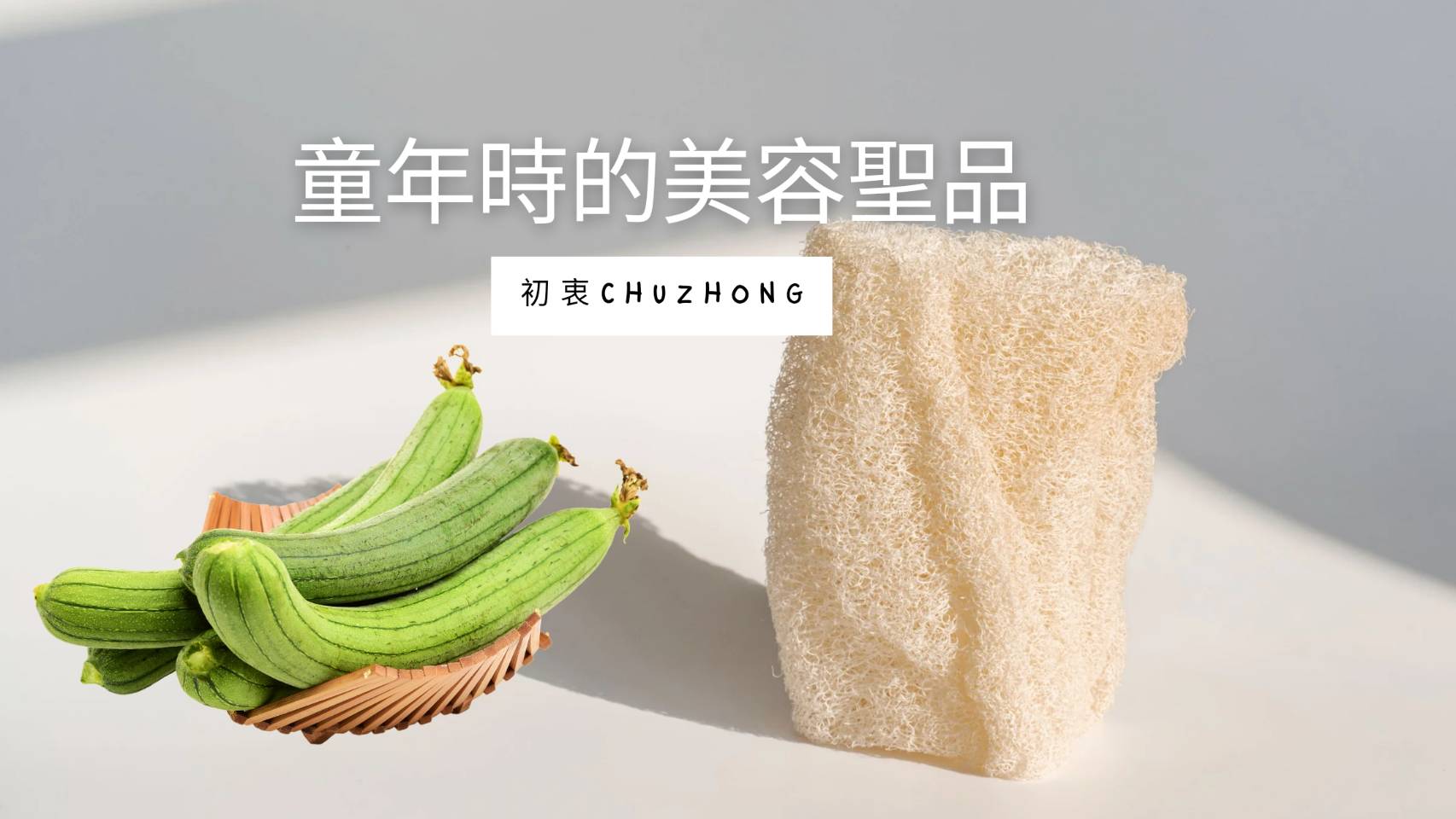 專業的萃取