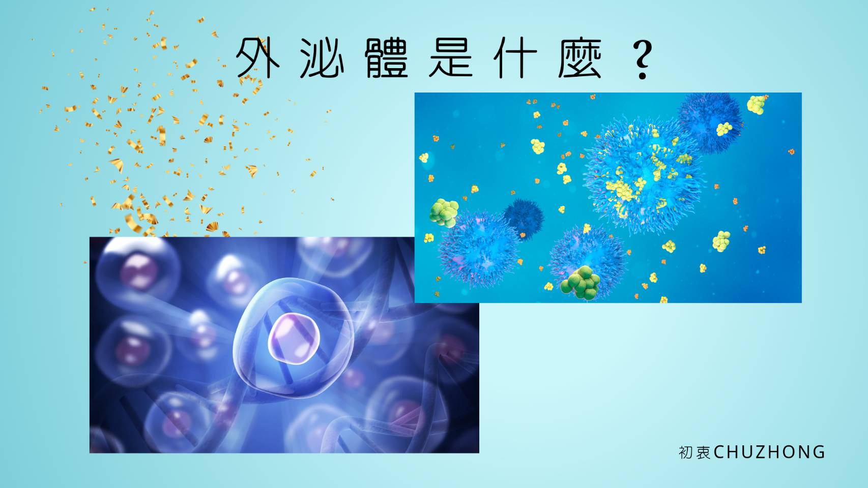外泌體是什麼？