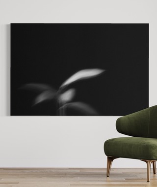 aPo｜植影 - 黑白攝影